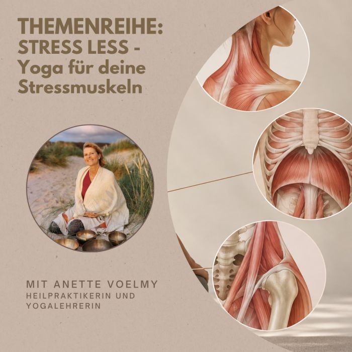 Online Live: Themenreihe „STRESS LESS - Yoga für deine Stressmuskeln“ mit Anette Voelmy (3x60Min)